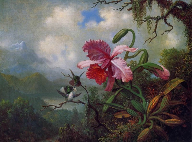 Martin Johnson Heade Orchid and Hummingbirds near a Mountain Lake